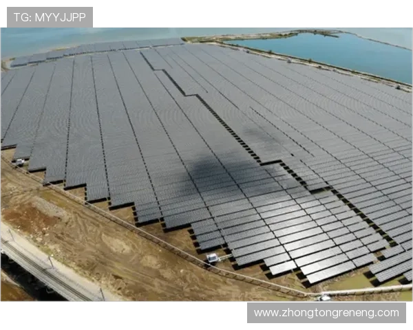 AG真人集团：合作伙伴关系与国际市场拓展的战略布局