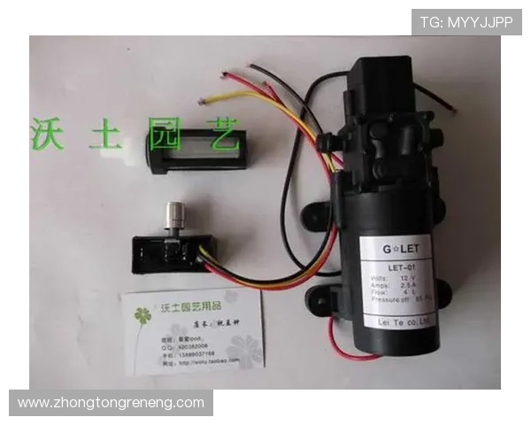 利来agag旗舰店新品上市抢先体验多样选择满足不同需求