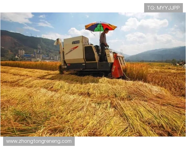 凯发中国K8.com实现技术创新,优化平台安全保障体系保障用户资金安全 凯发中国K8.com实现技术创新,优化平台安全保障体系保障用户资金安全