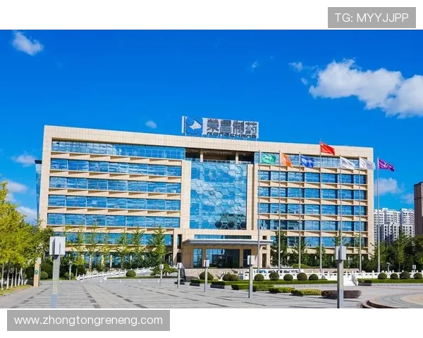 k8凯发 一触即发：最新版本更新内容详解及应对策略推荐