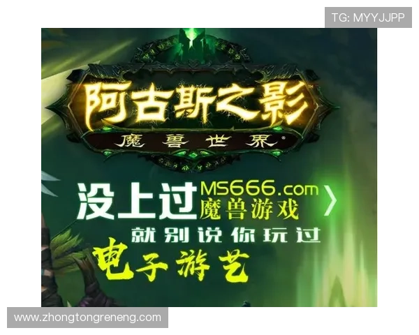 MG电子游戏大奖的评选流程详解，帮助玩家理解奖项背后的专业评审标准